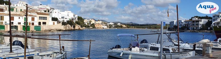 Preis Bootsführerschein Binnen Mallorca